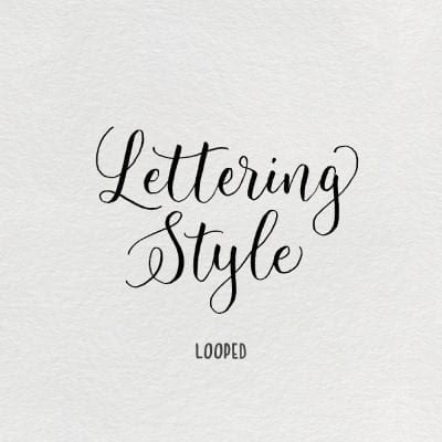 Winterbird Lettering Style – Looped